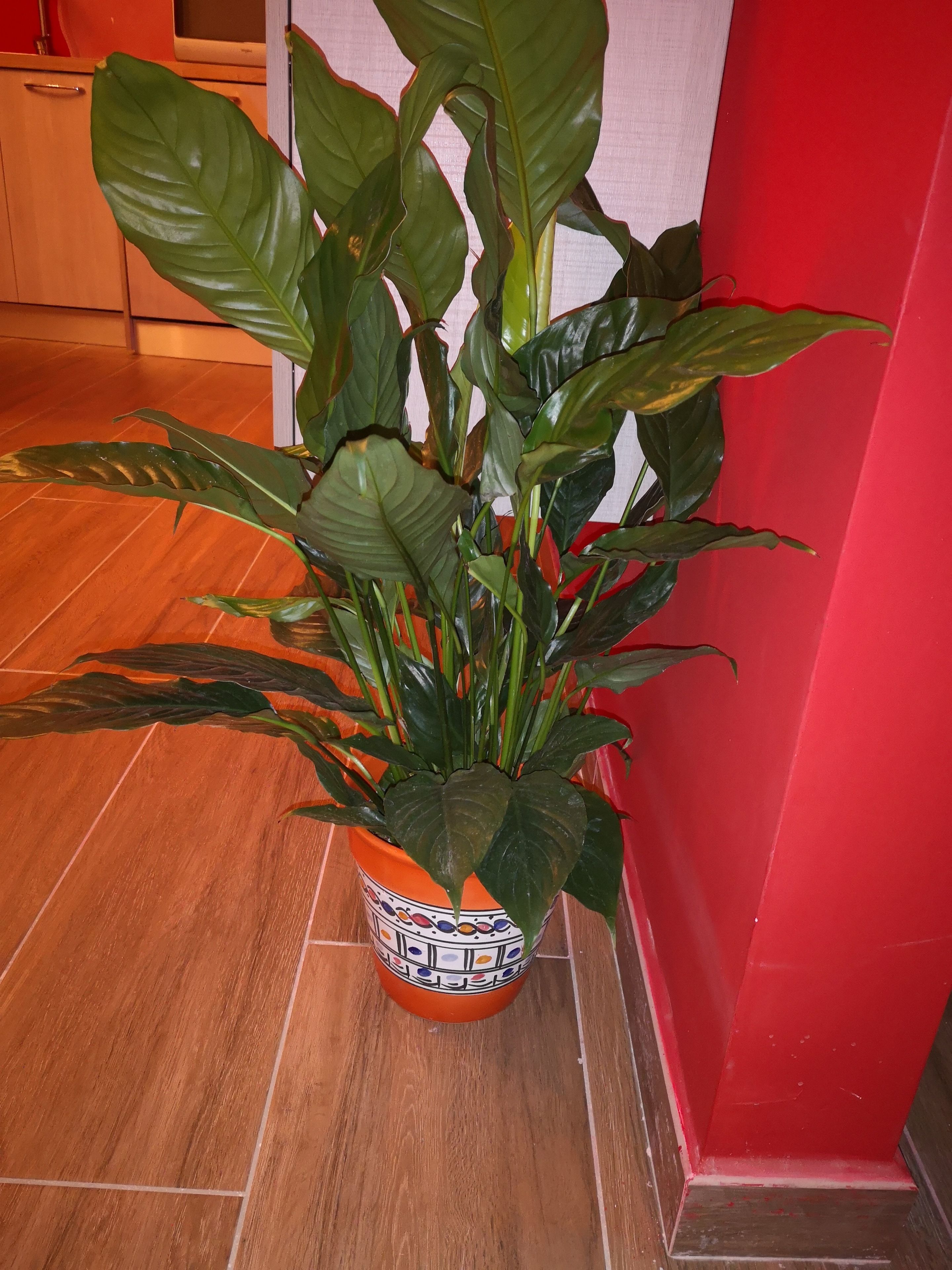 A Due Passi Dal Museo