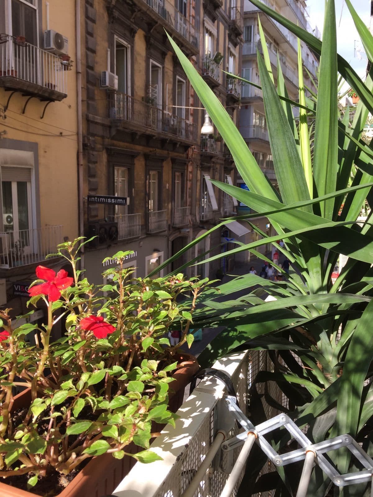 ApartHotel Plebiscito