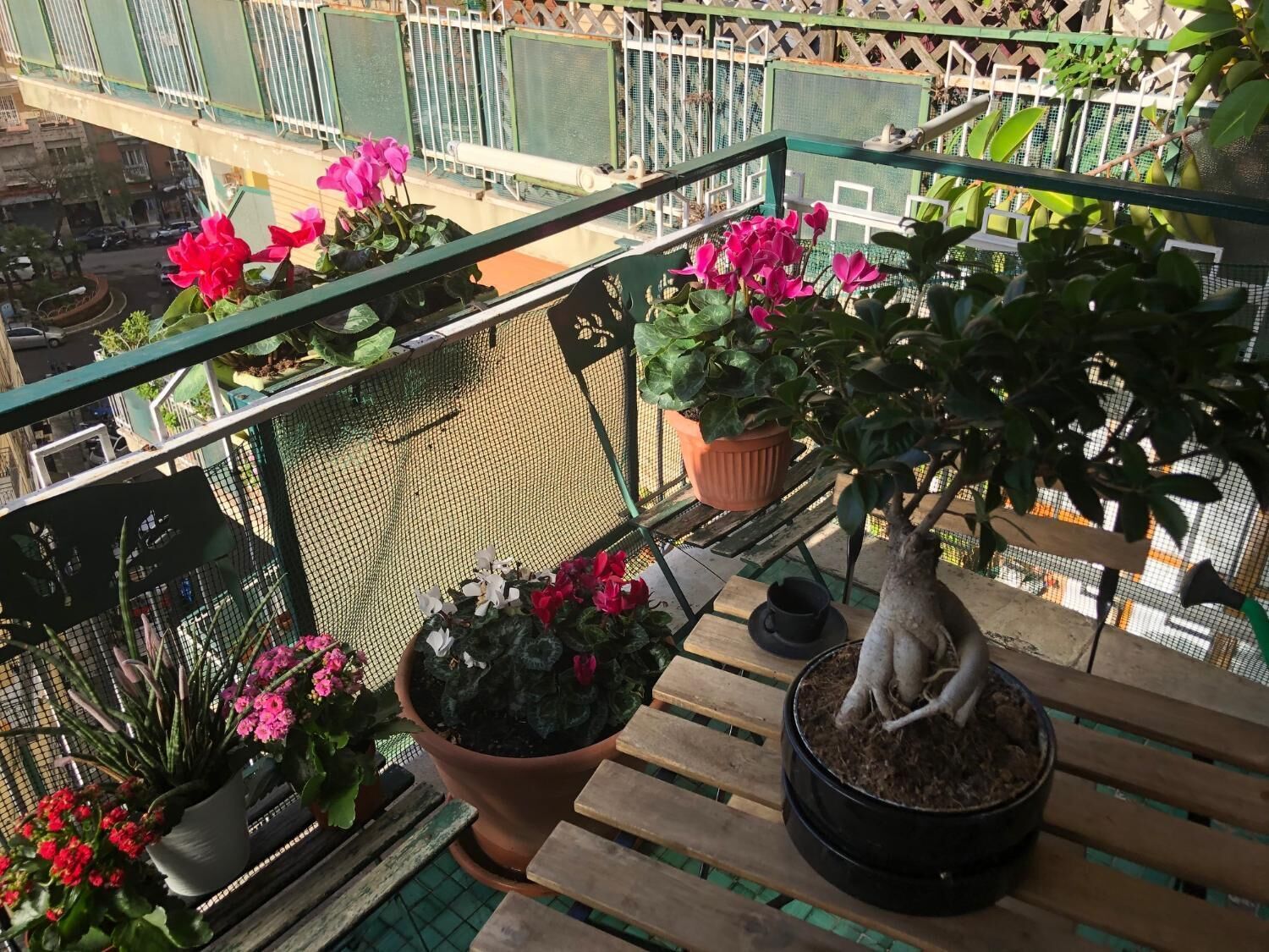 B&B Da Vito A San Martino