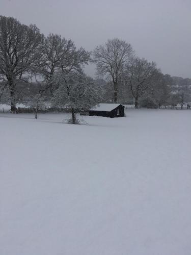 B&B Il Balconcino A Santa Chiara