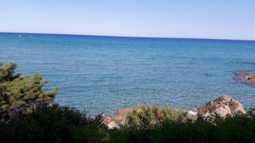 B&b Neapolitan Terrace