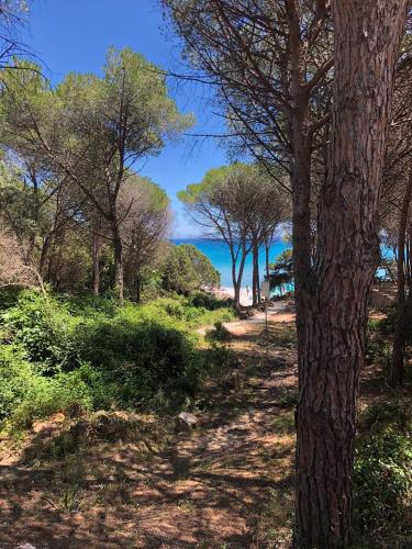 B&b Neapolitan Terrace