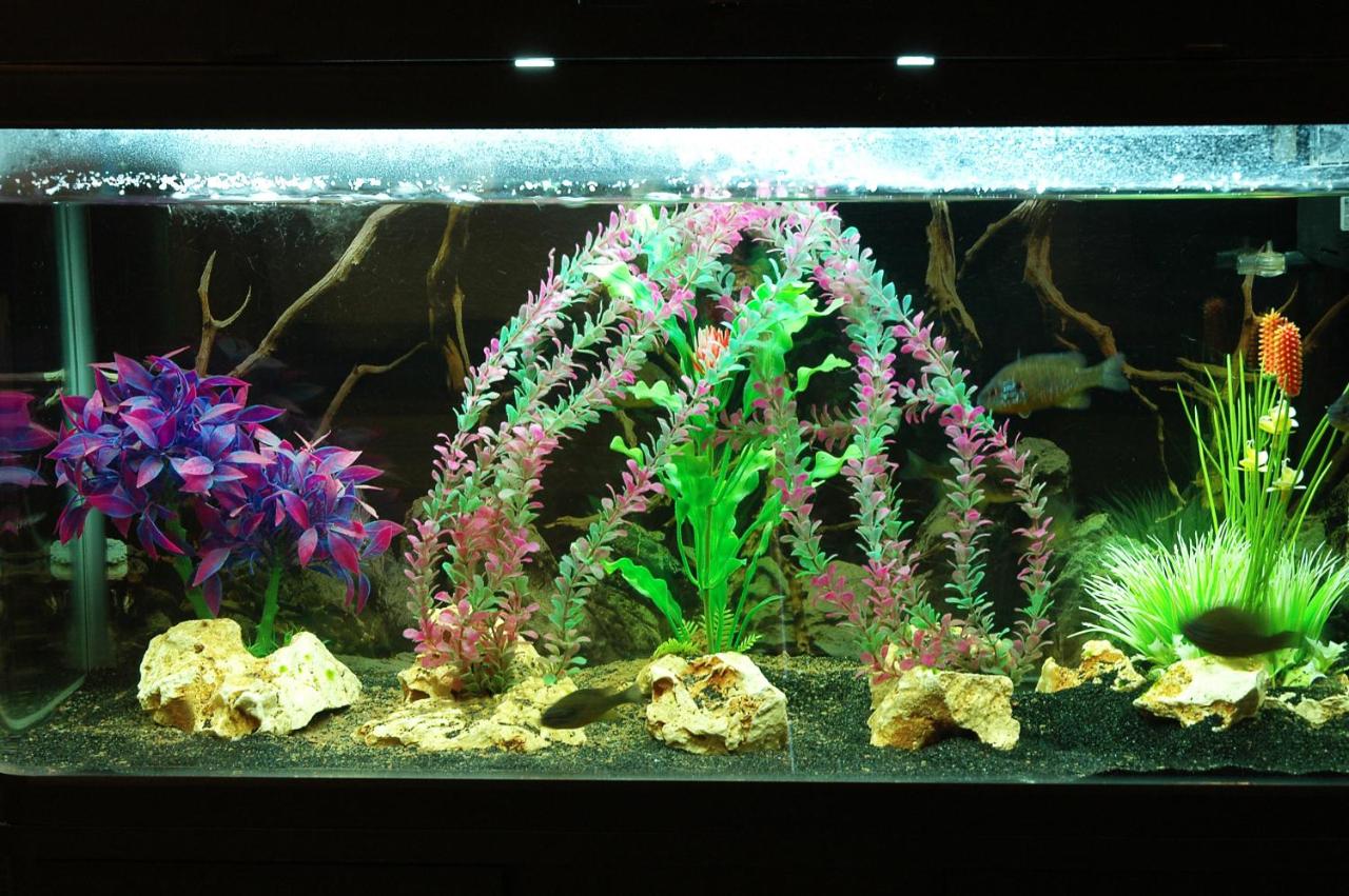 Capodichino International Hotel