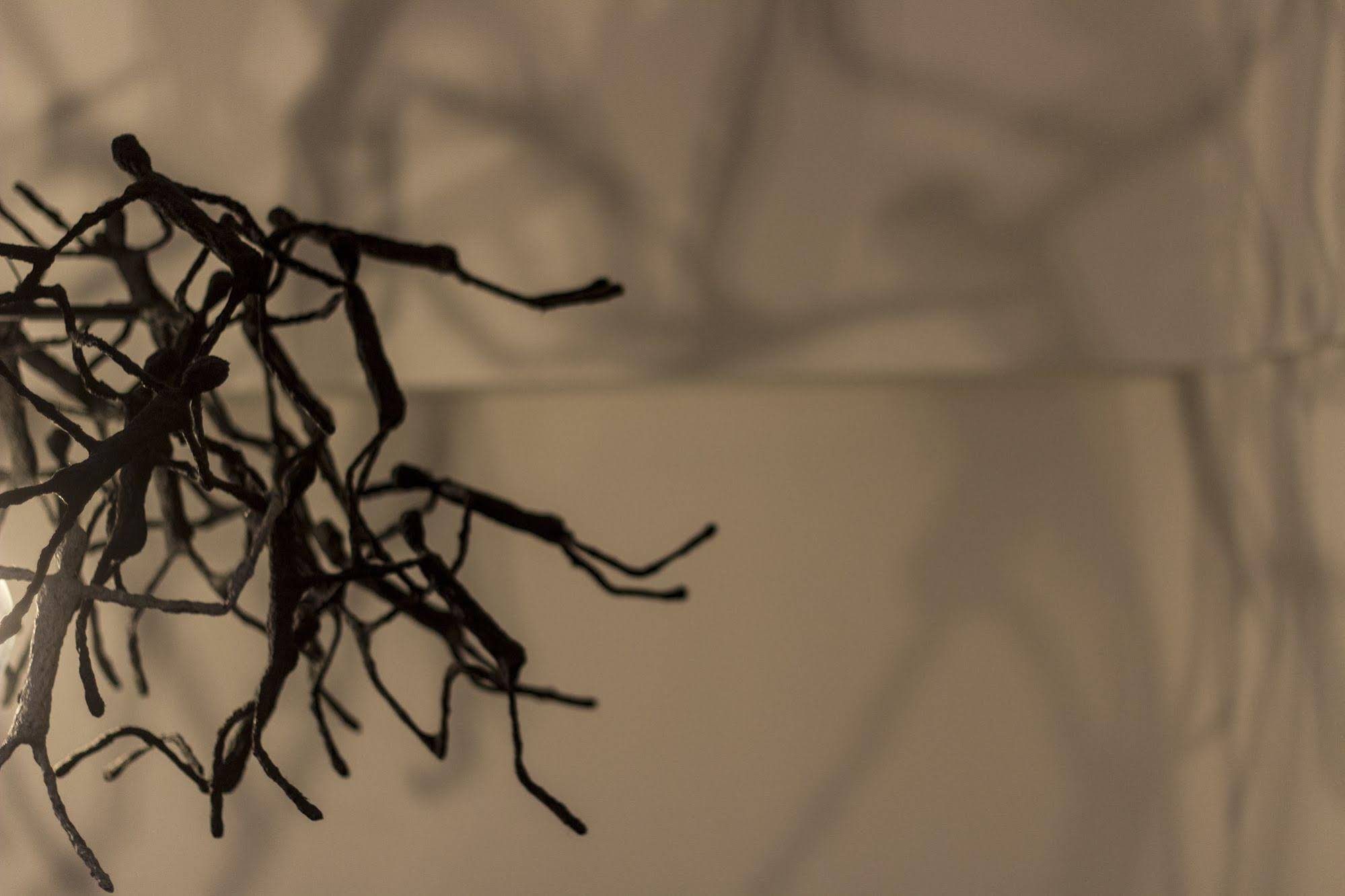 Casa Latina Bed and Breakfast