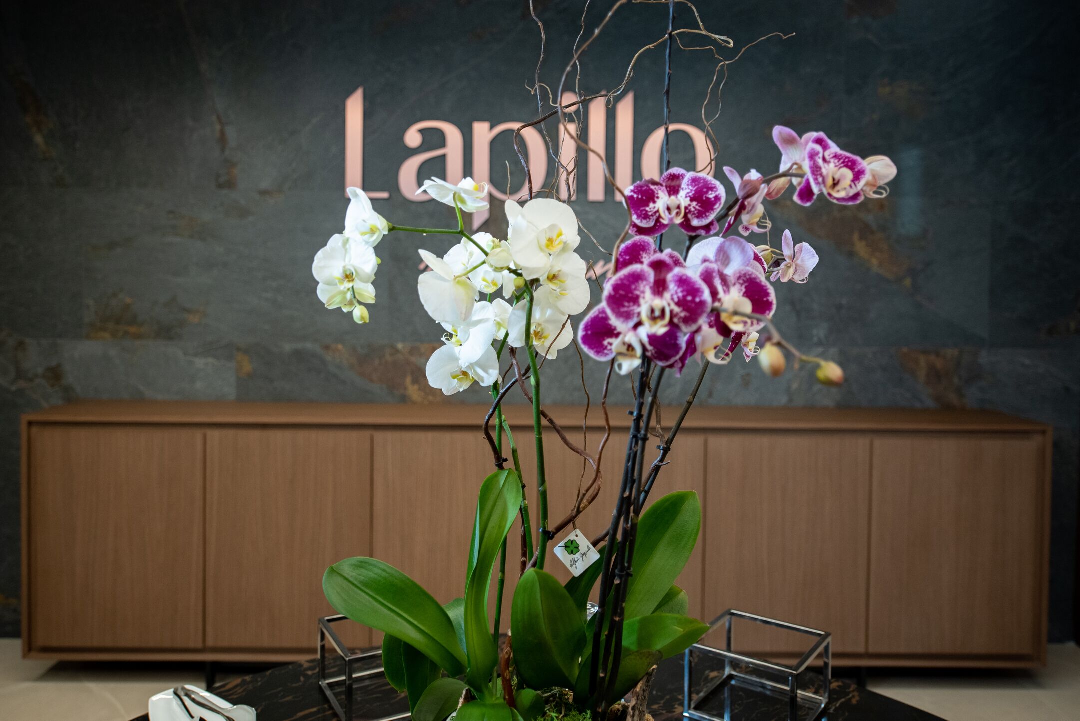 Gold Tower Lifestyle Hotel