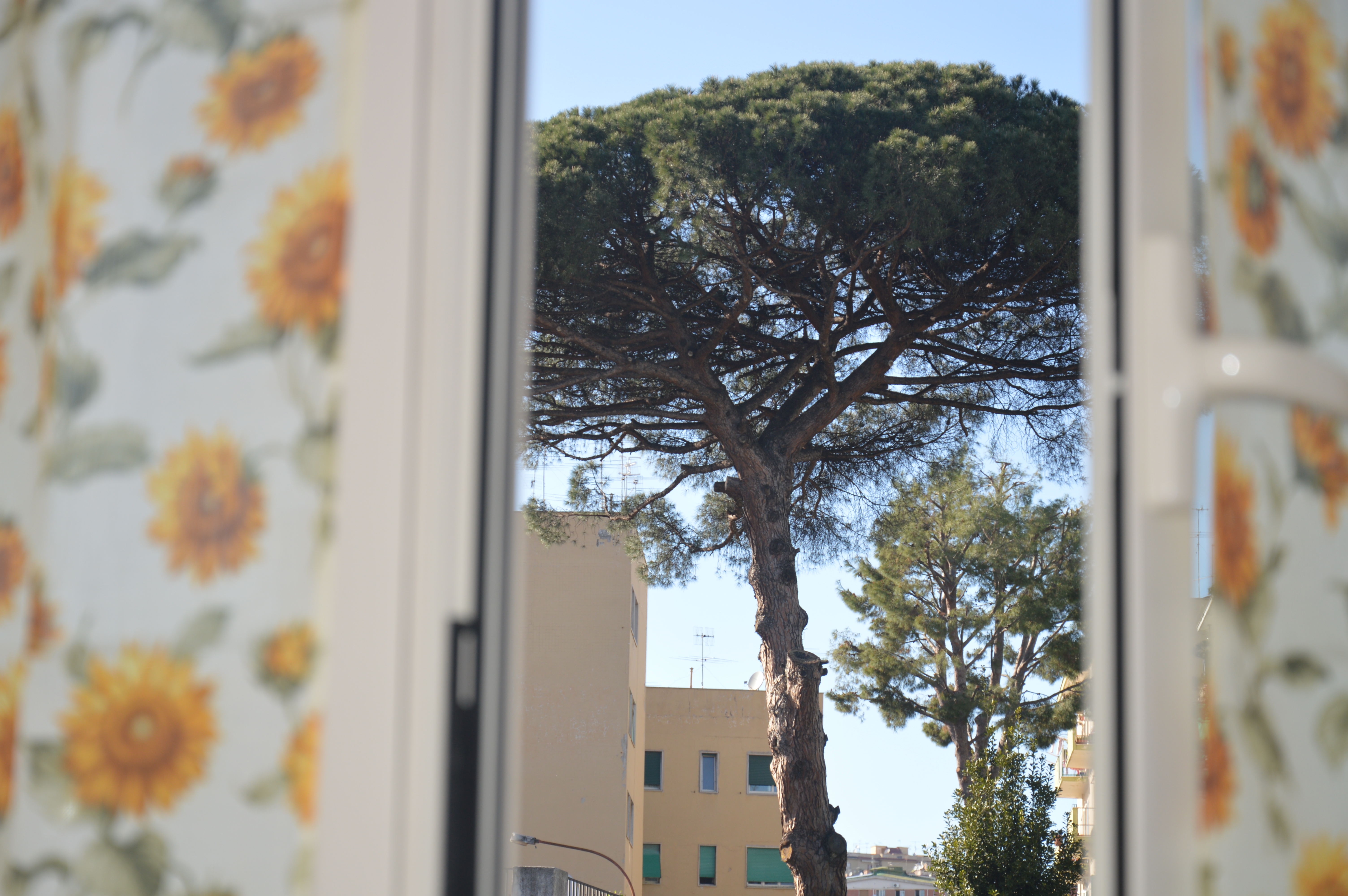 I Colori di Salvator Rosa