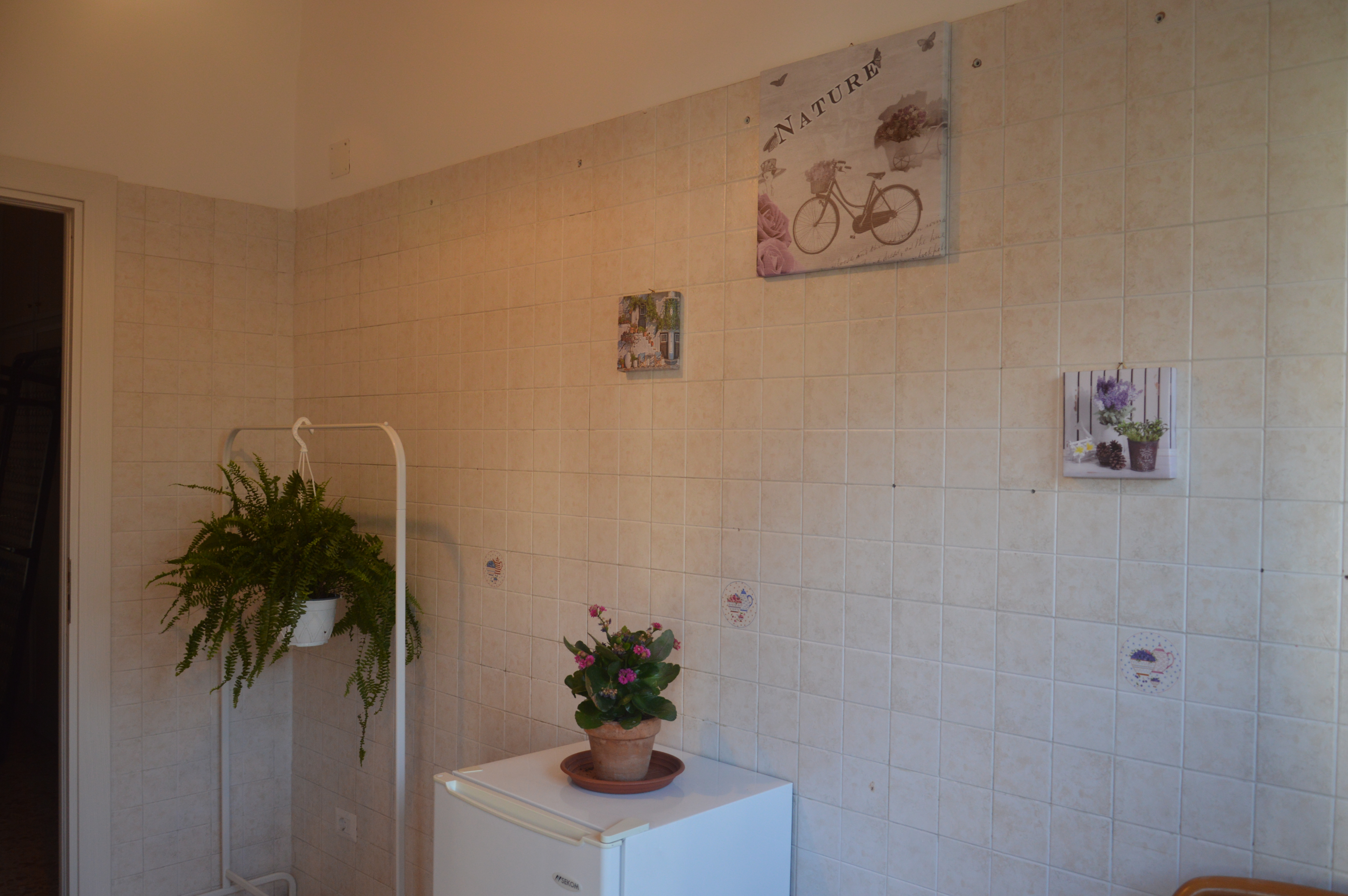 I Colori di Salvator Rosa