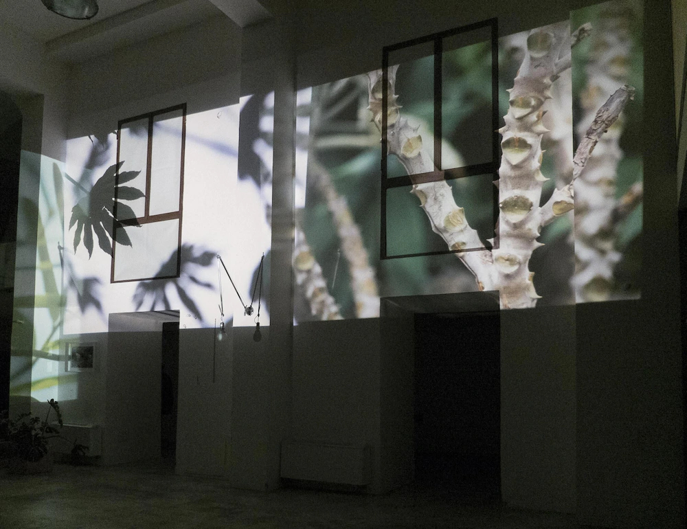 La Casaforte Art Residency