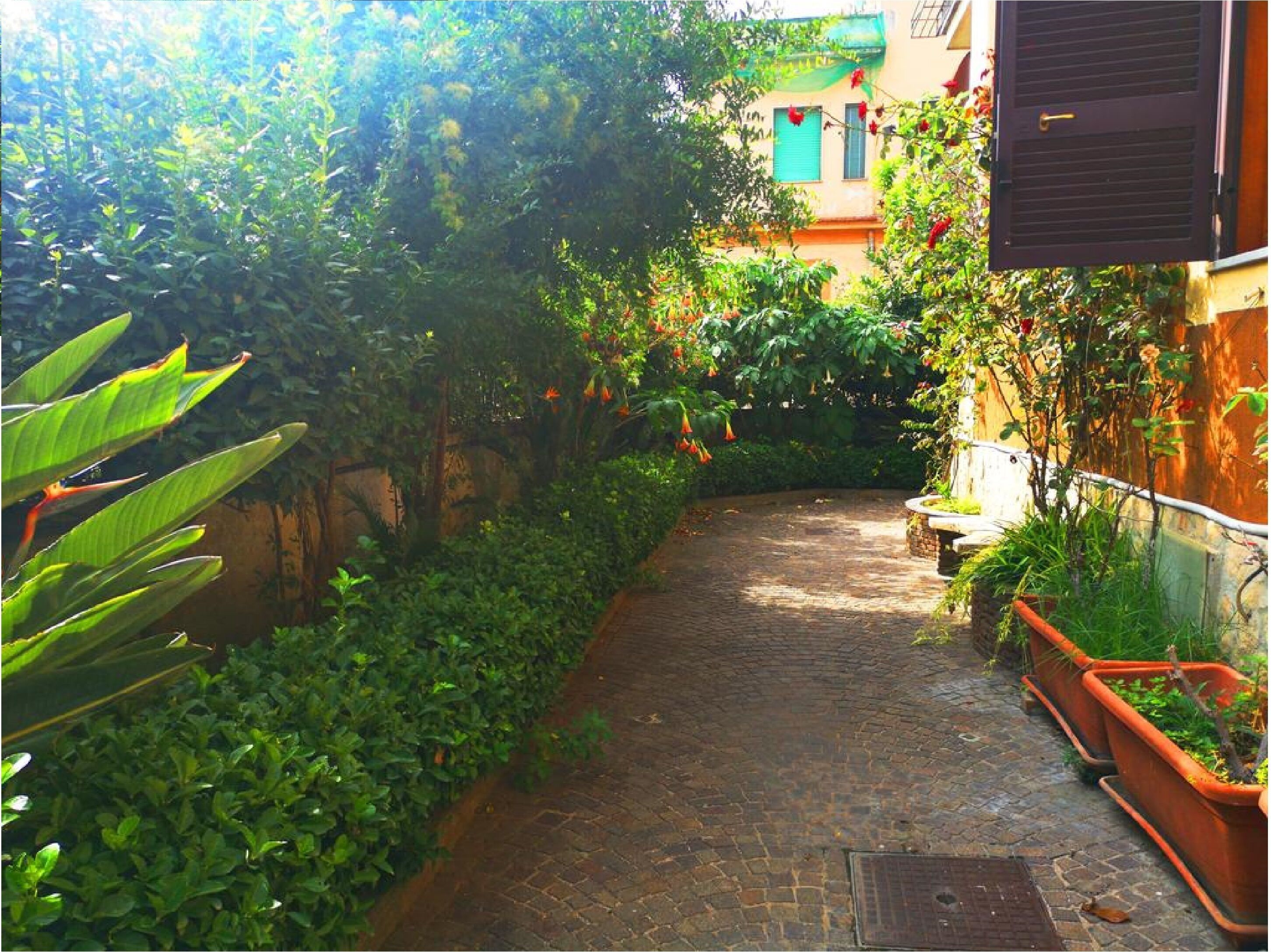 Los Mochileros Hostel