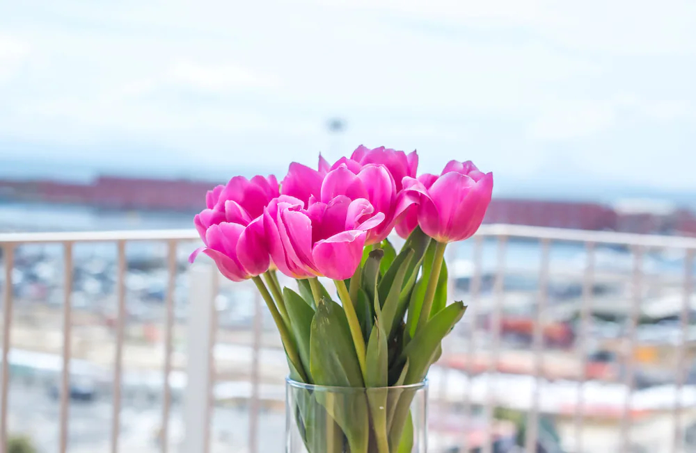 Napoli Great View B&B