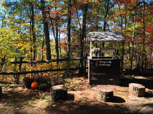 Napoli Storia E Mare