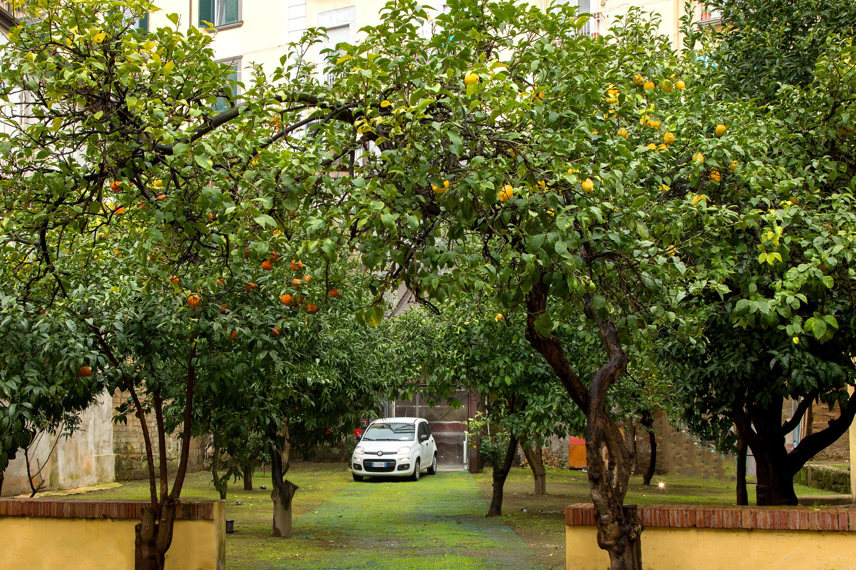 Palazzo Sant'Antonio