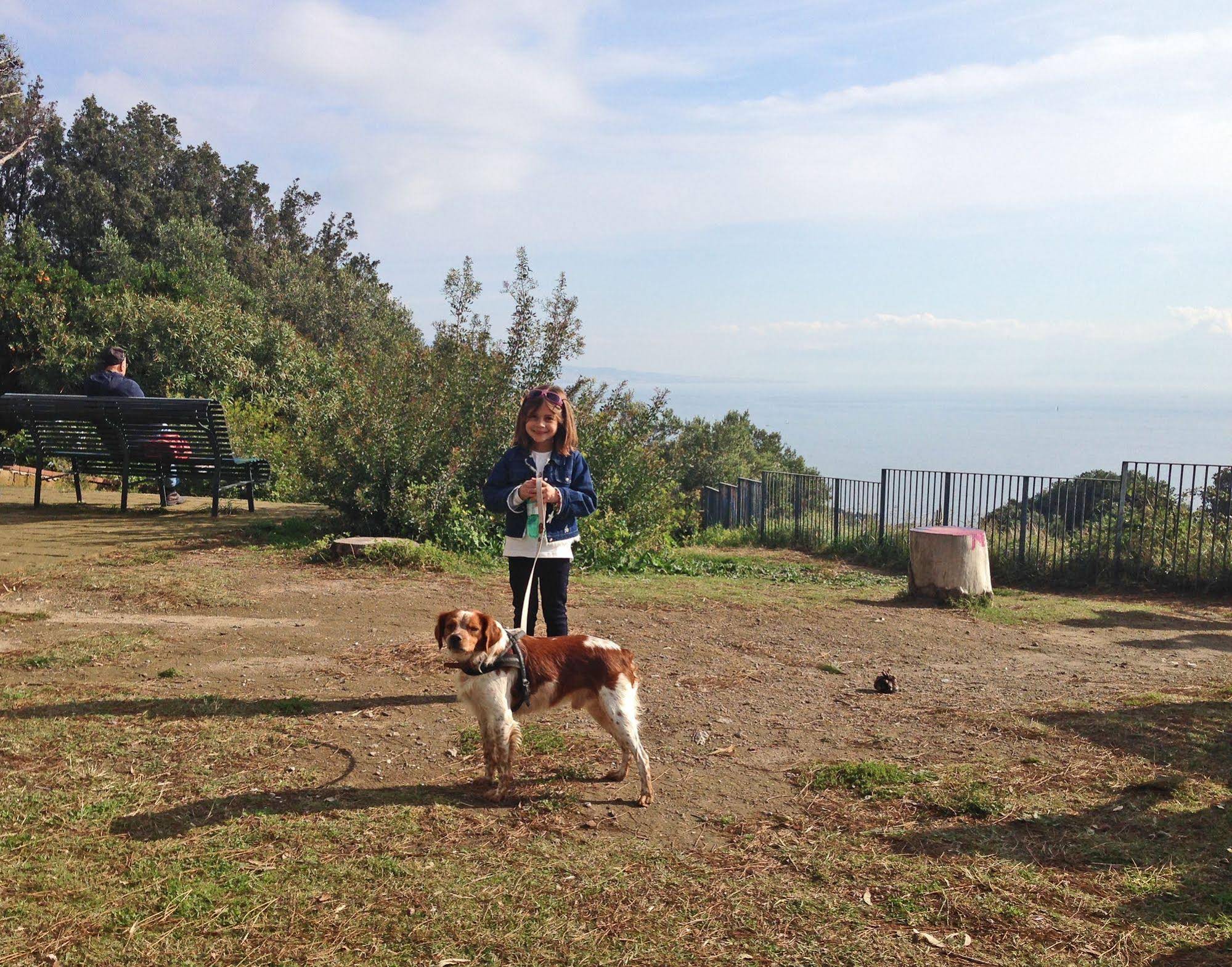 Residenza Le Rose Villa d’Arte