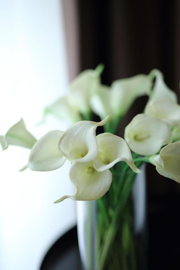 Stelle Hotel the Businest