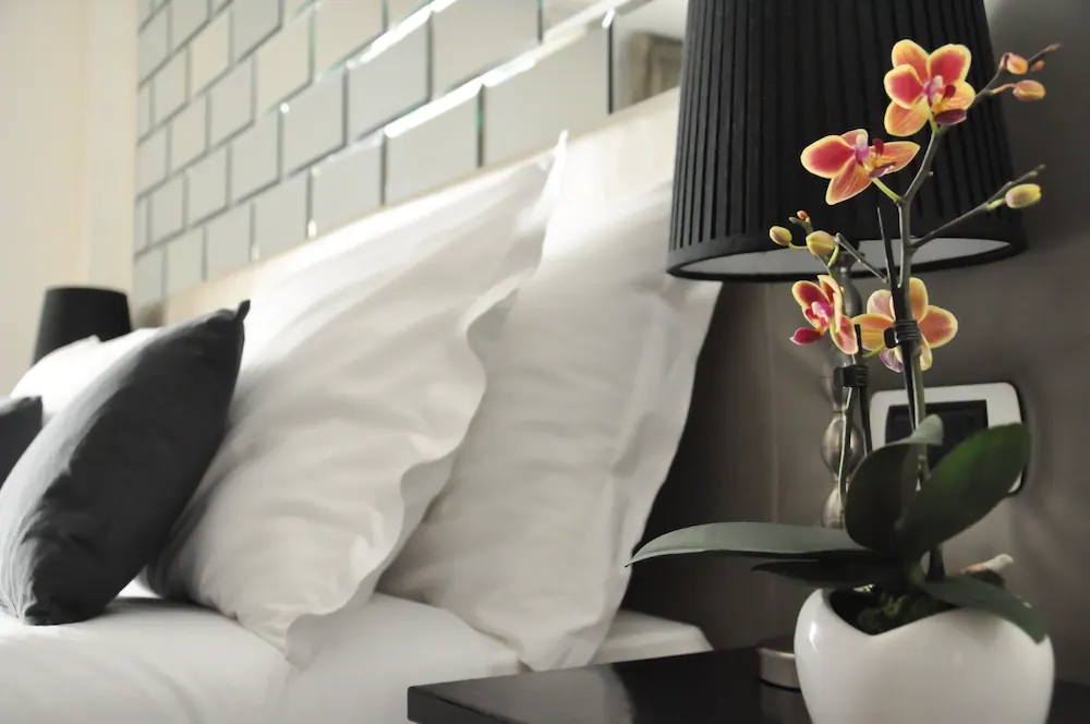 The Royals Experience