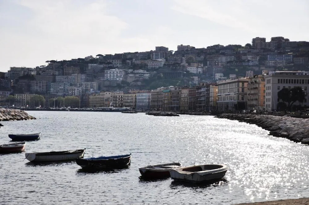 The Royals Experience