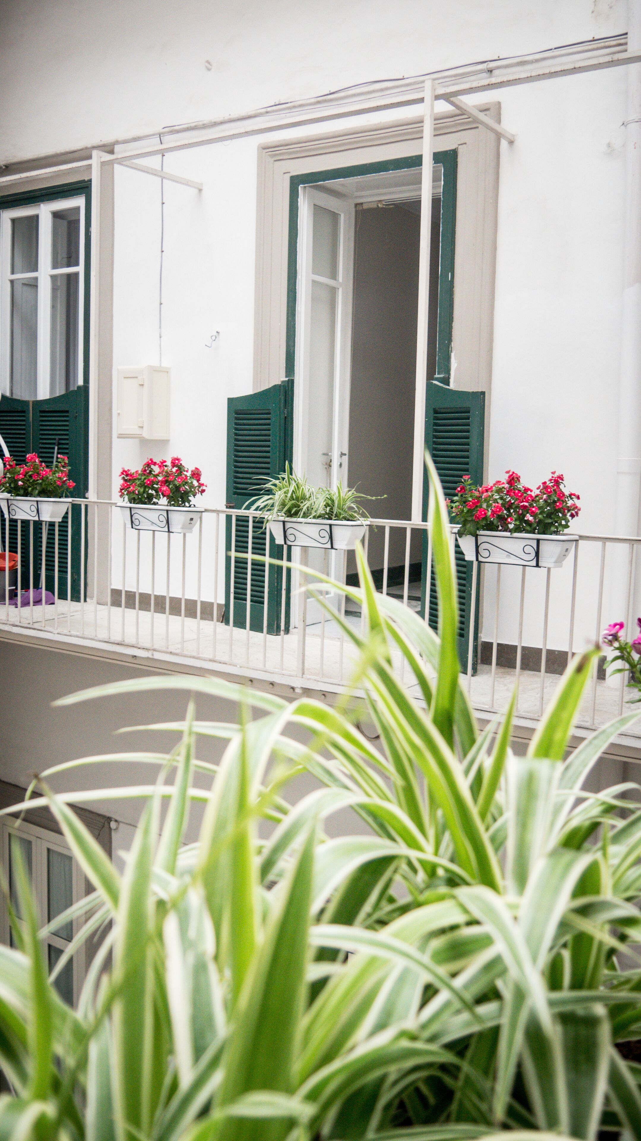 Toledo Class - B&B Naples