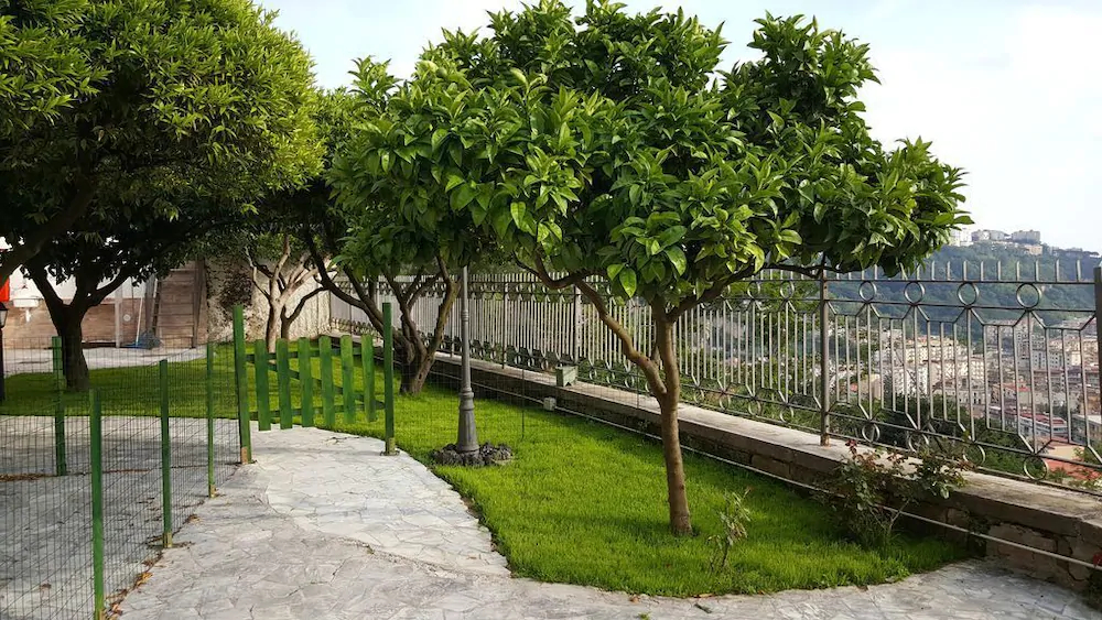 Vacation Home Agrumeto Flegreo