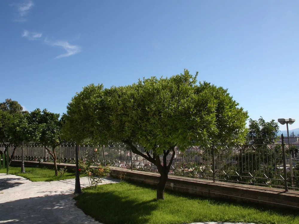 Vacation Home Agrumeto Flegreo