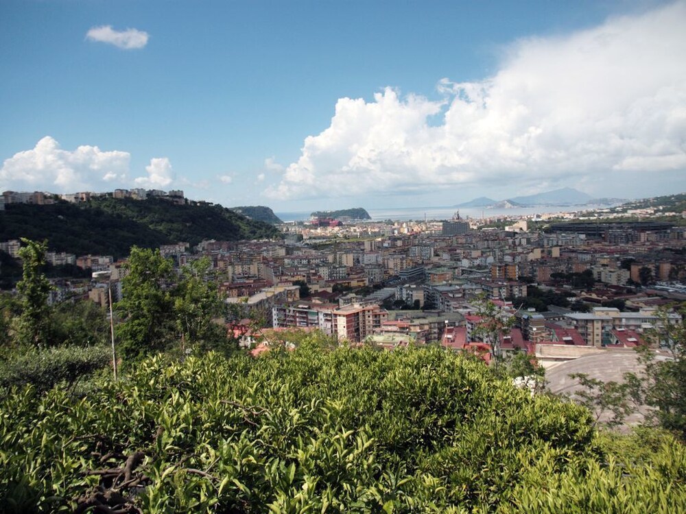 Vacation Home Agrumeto Flegreo