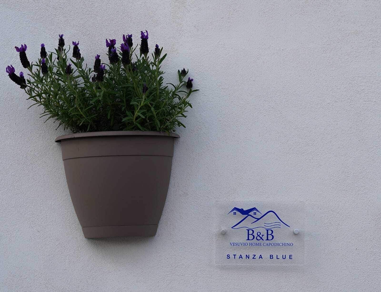 Vesuvio Home Capodichino Blue