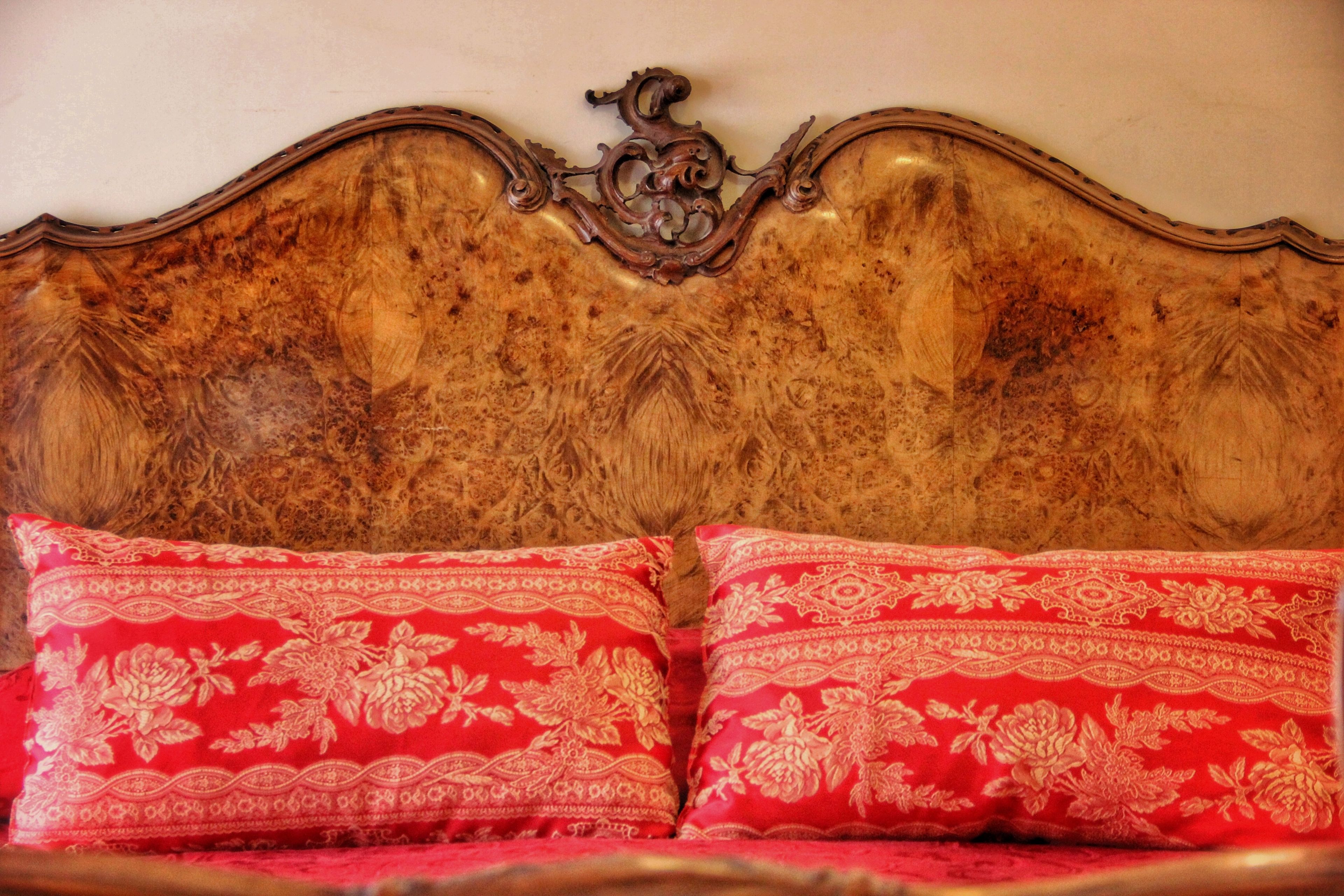 Well Come Cultura Santa Lucia