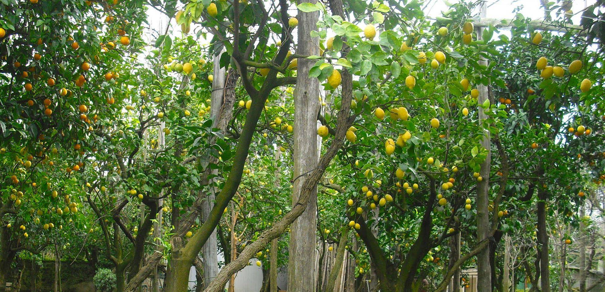 The Secret Garden Relais