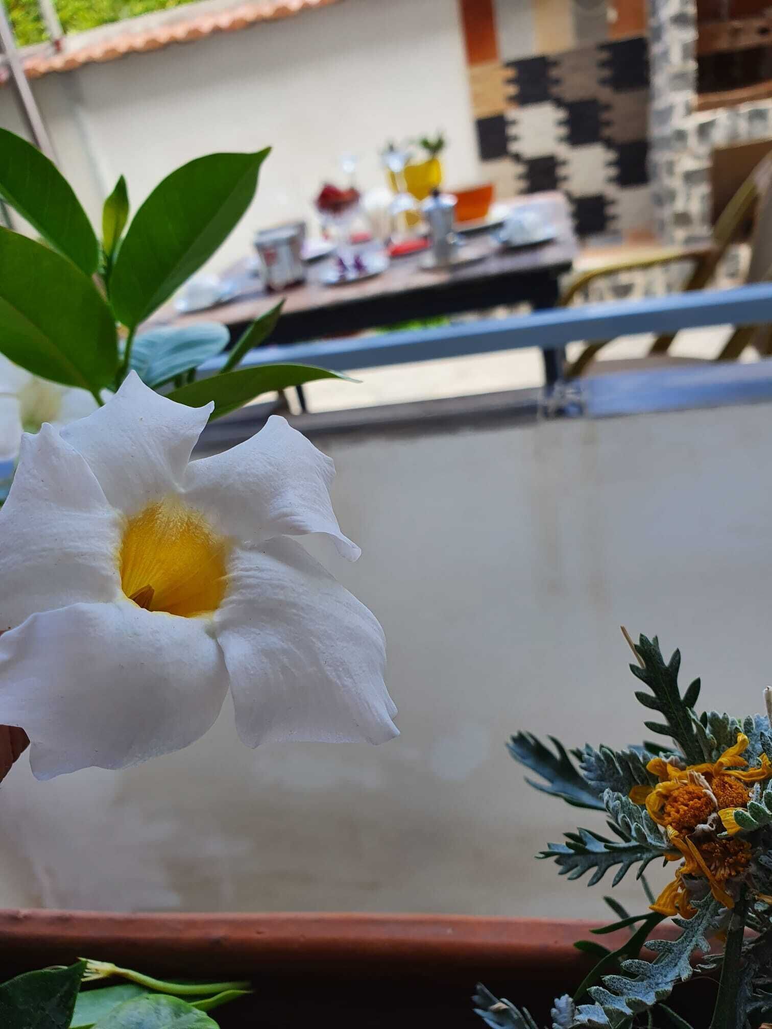 B&B Cappotto Civico 48