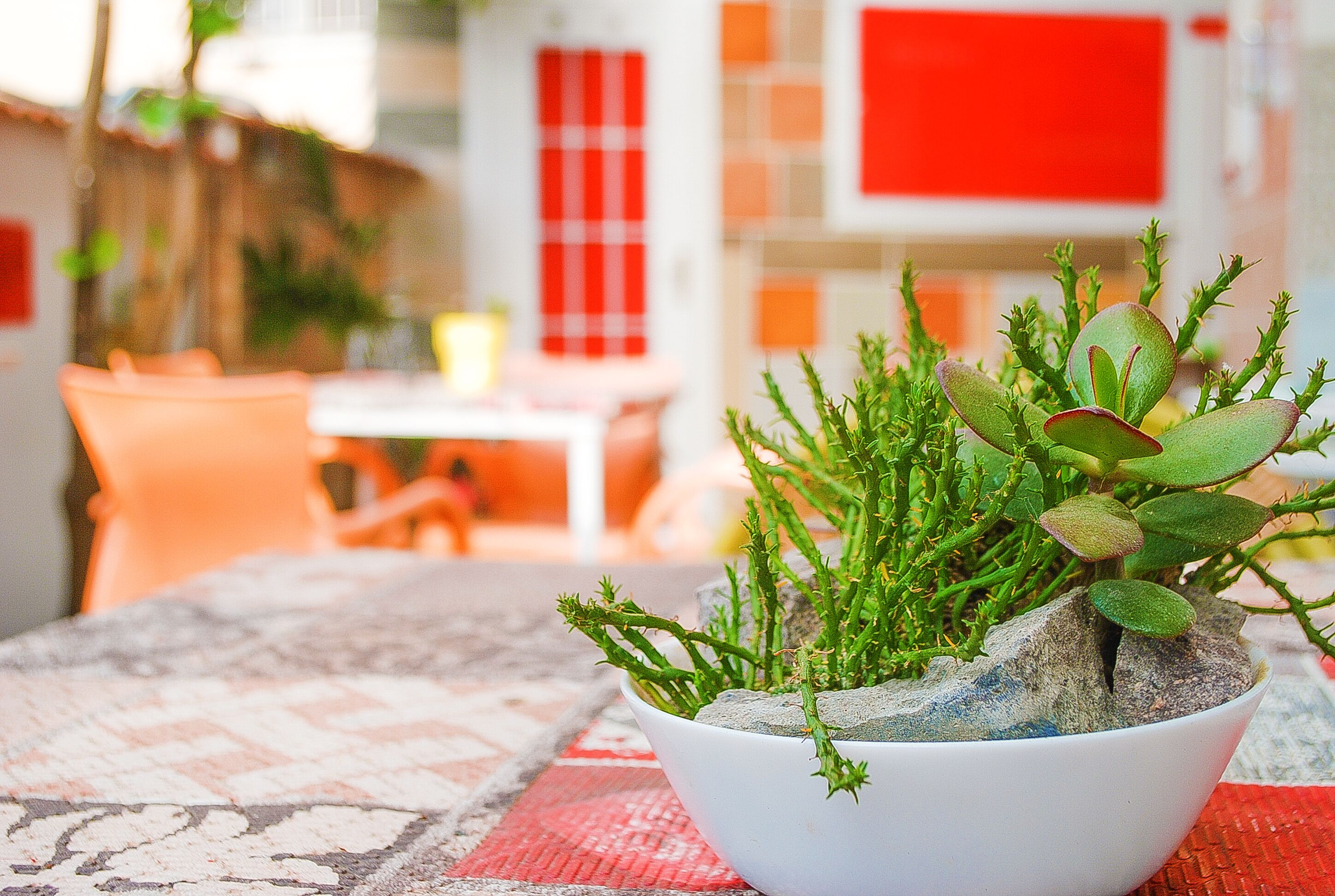 B&B Cappotto Civico 48