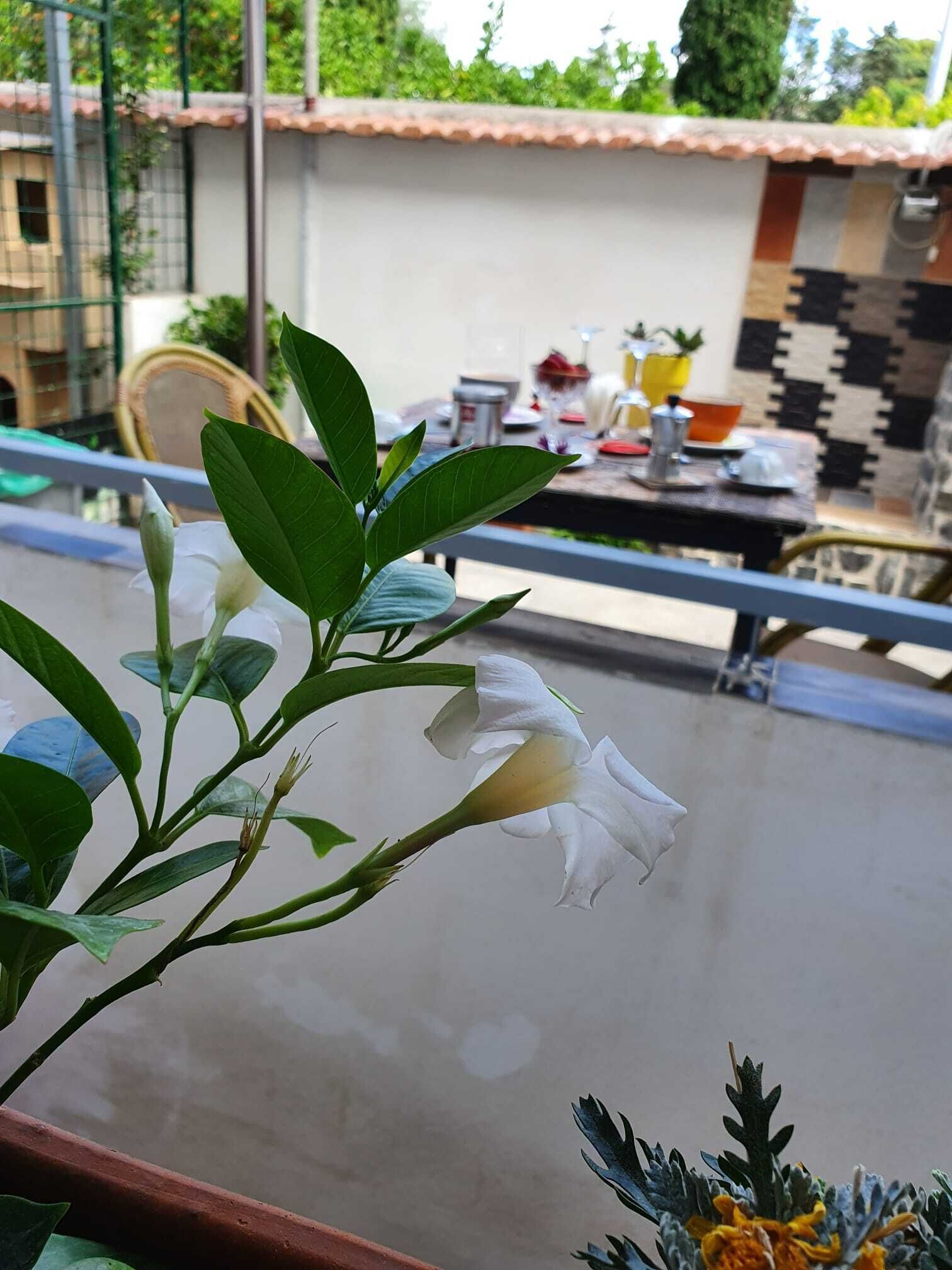 B&B Cappotto Civico 48