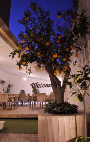 V&V Suite & Breakfast