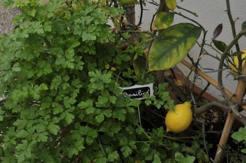 V&V Suite & Breakfast