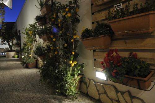 V&V Suite & Breakfast