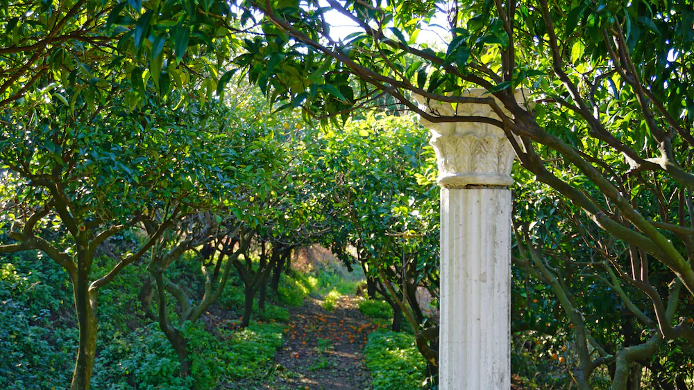 Tenuta Convivium Cuma