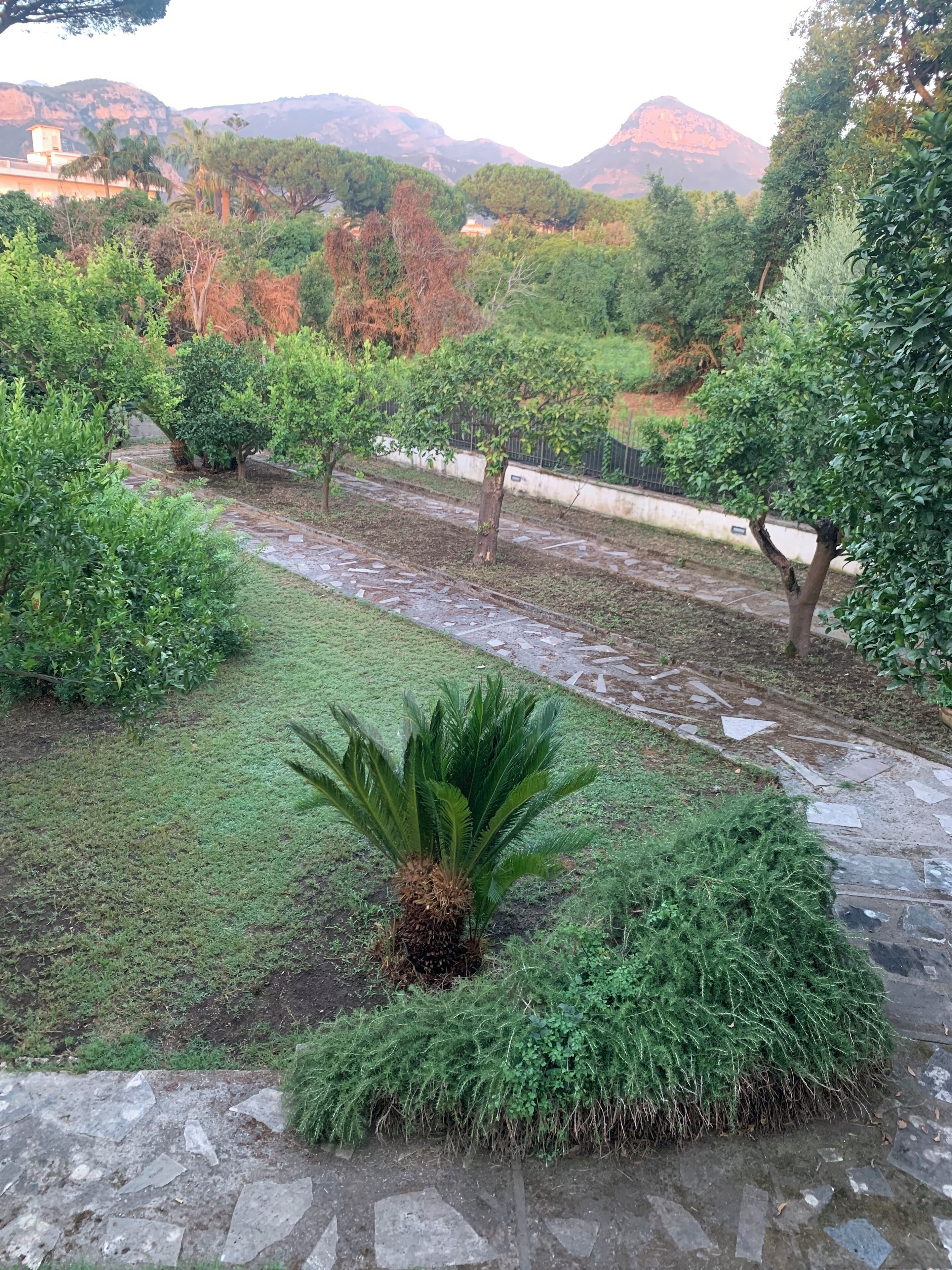 B&B Massico Apartments