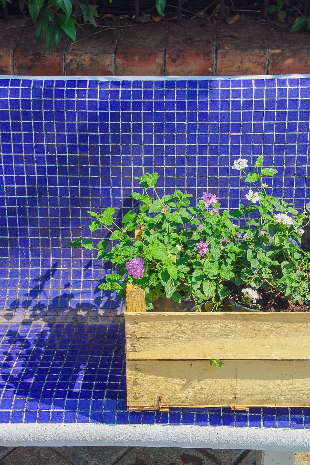 B&B Massico Apartments