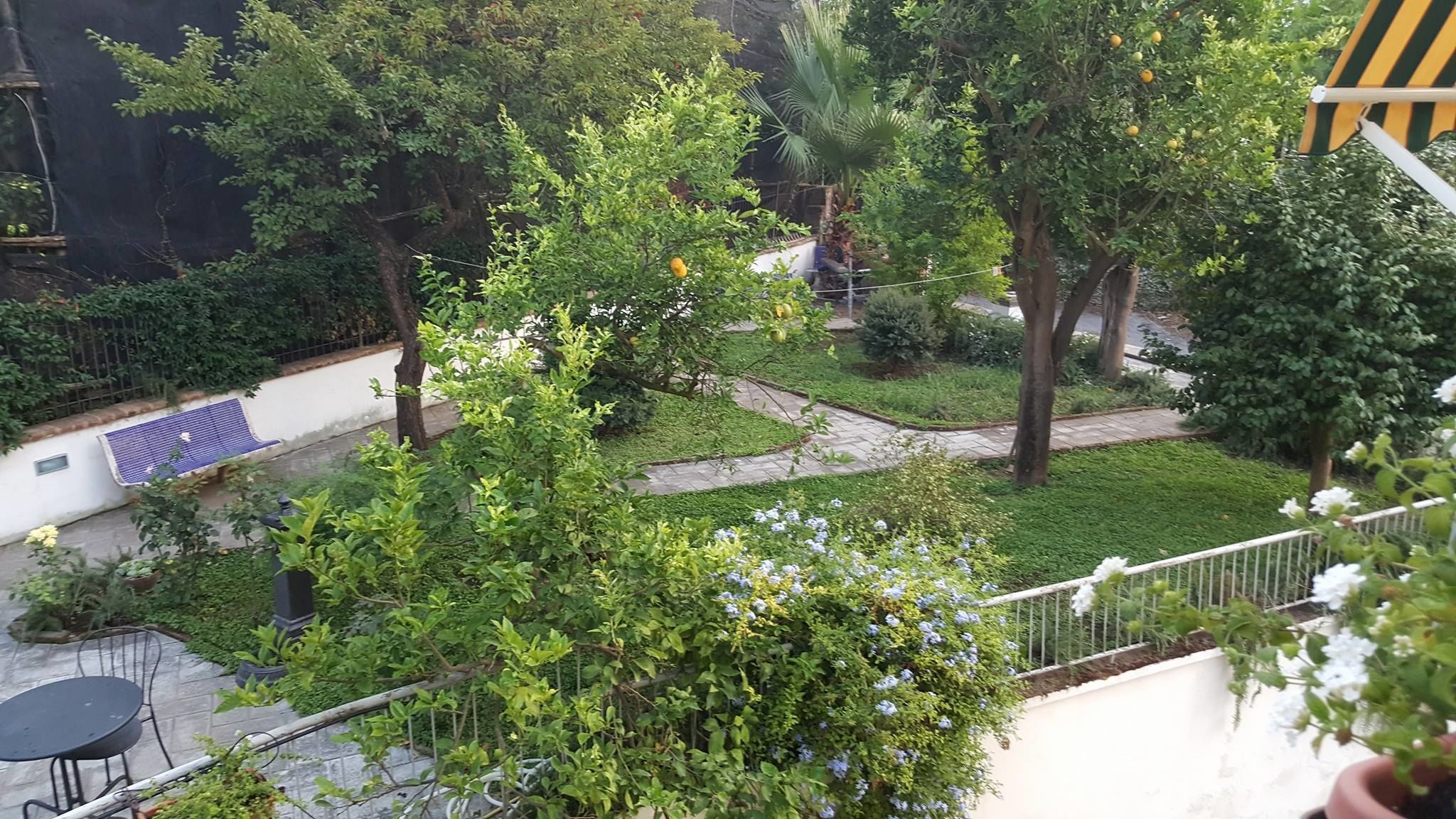 B&B Massico Apartments