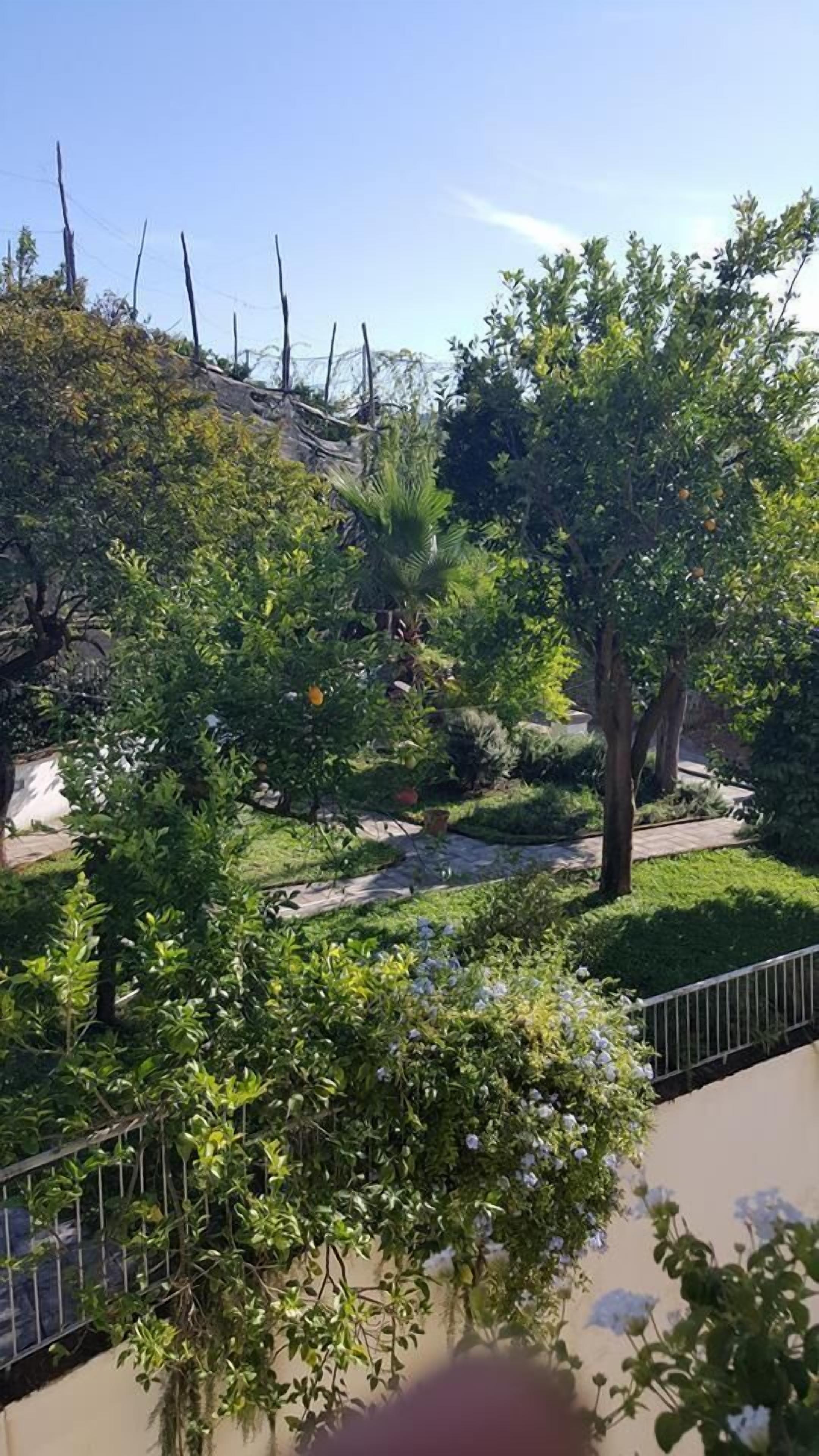 B&B Massico Apartments