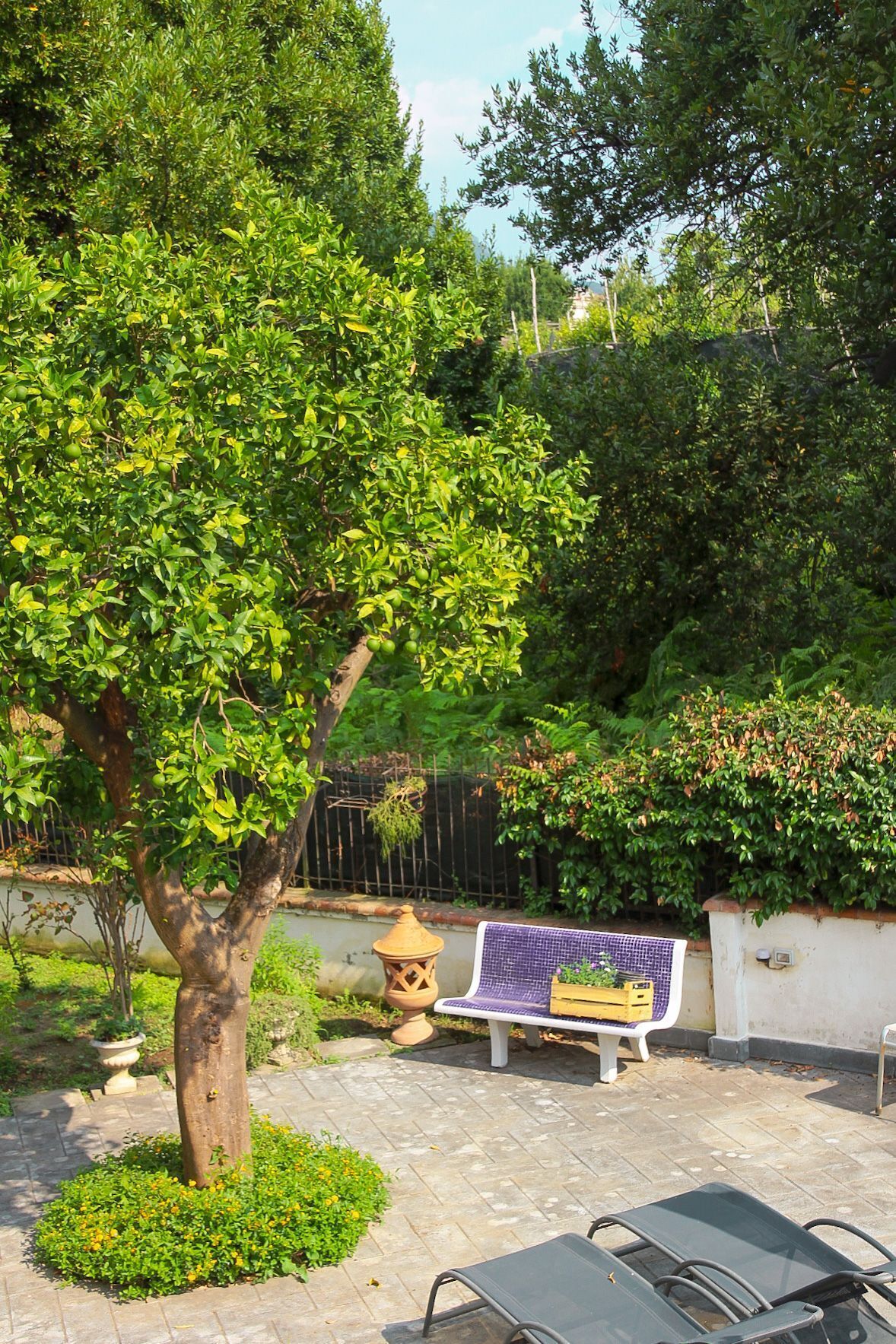 B&B Massico Apartments