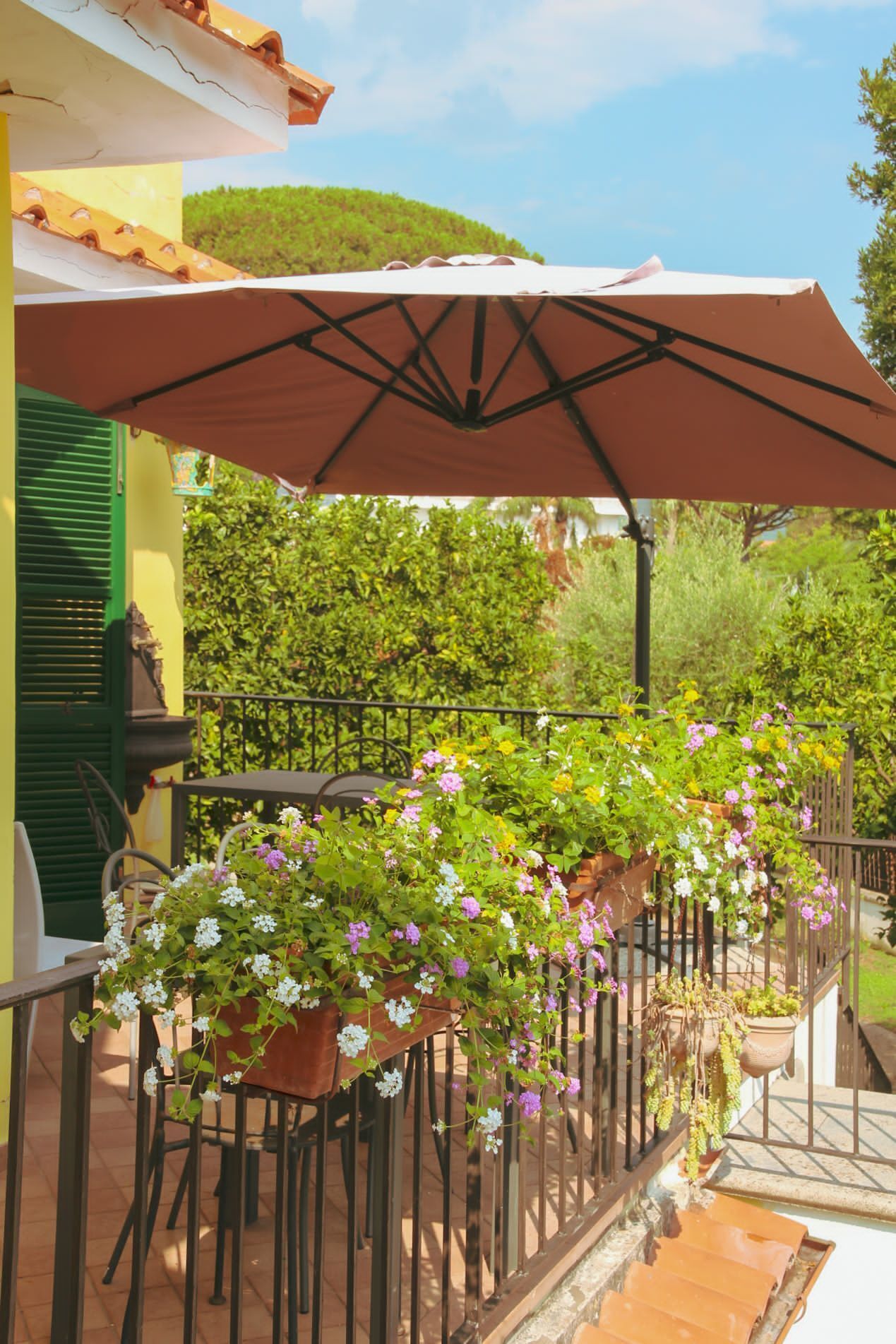 B&B Massico Apartments