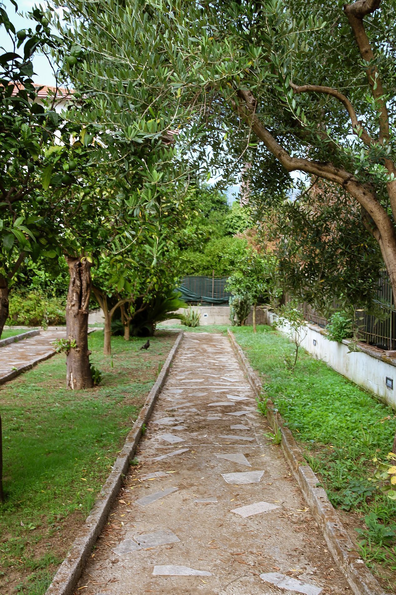 B&B Massico Apartments