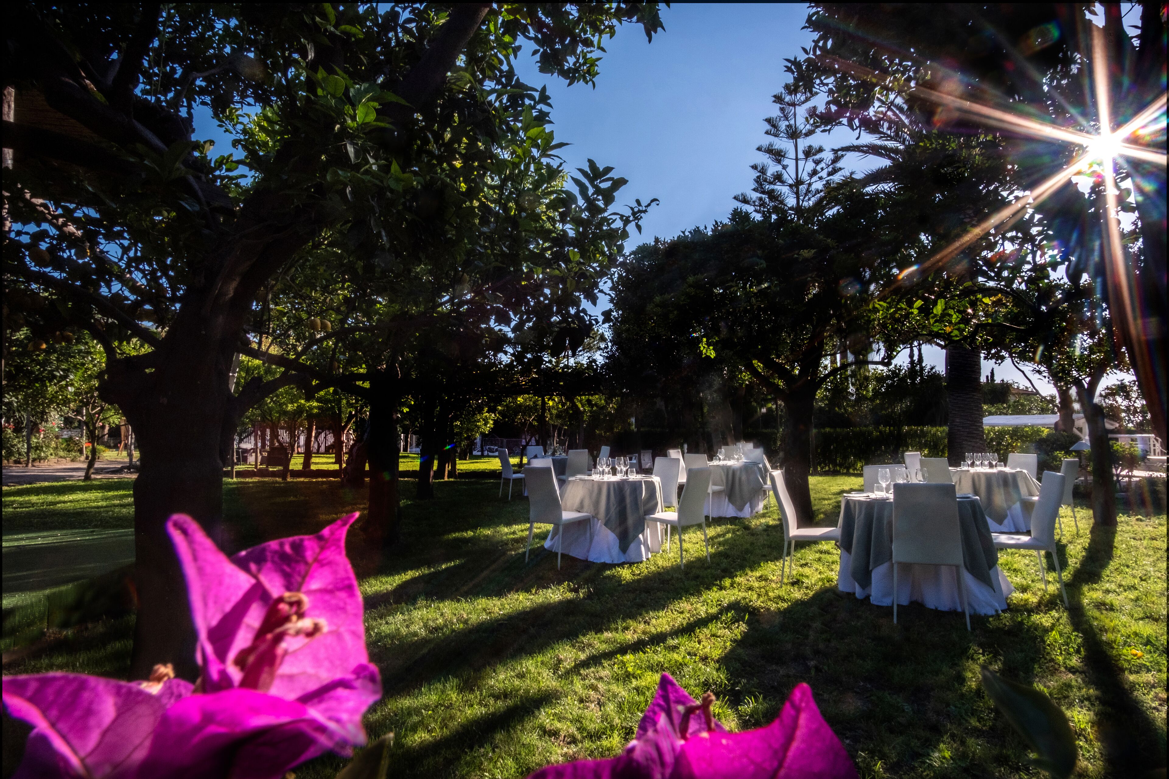 Hotel Alpha Sorrento Coast