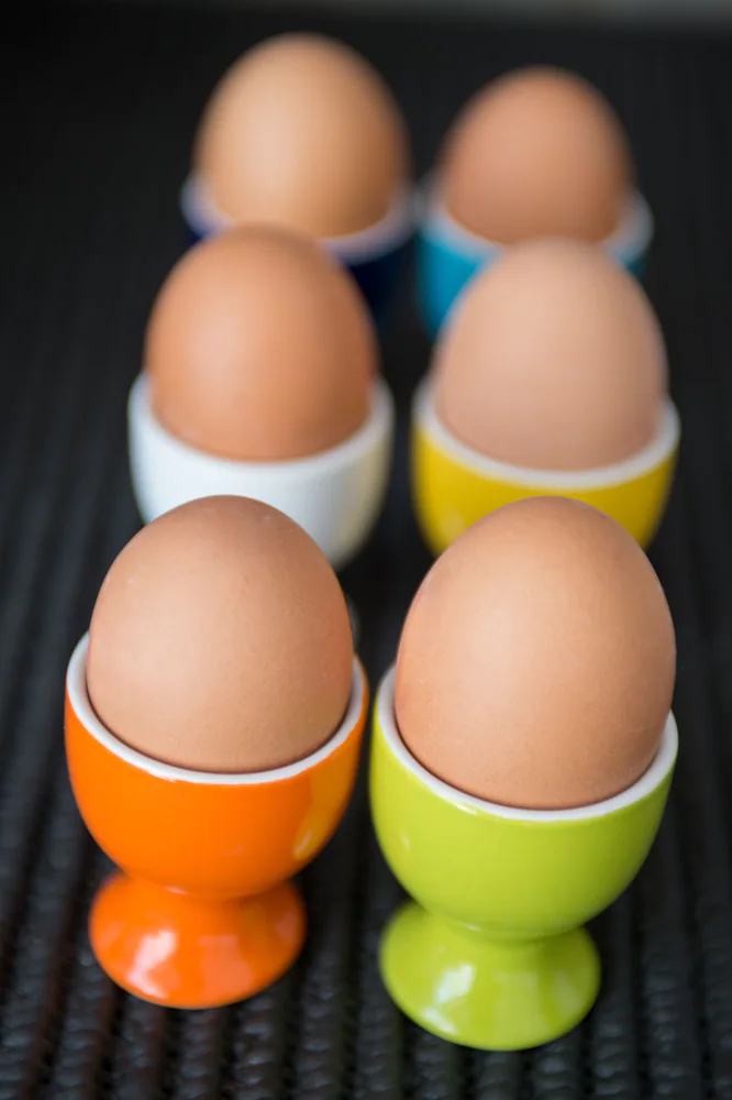 La Maison des Tout le Monde