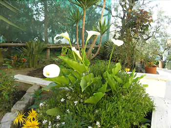 Oasi Madre Della Pace