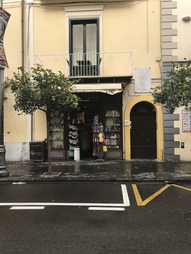 Rosa Magra Guest House