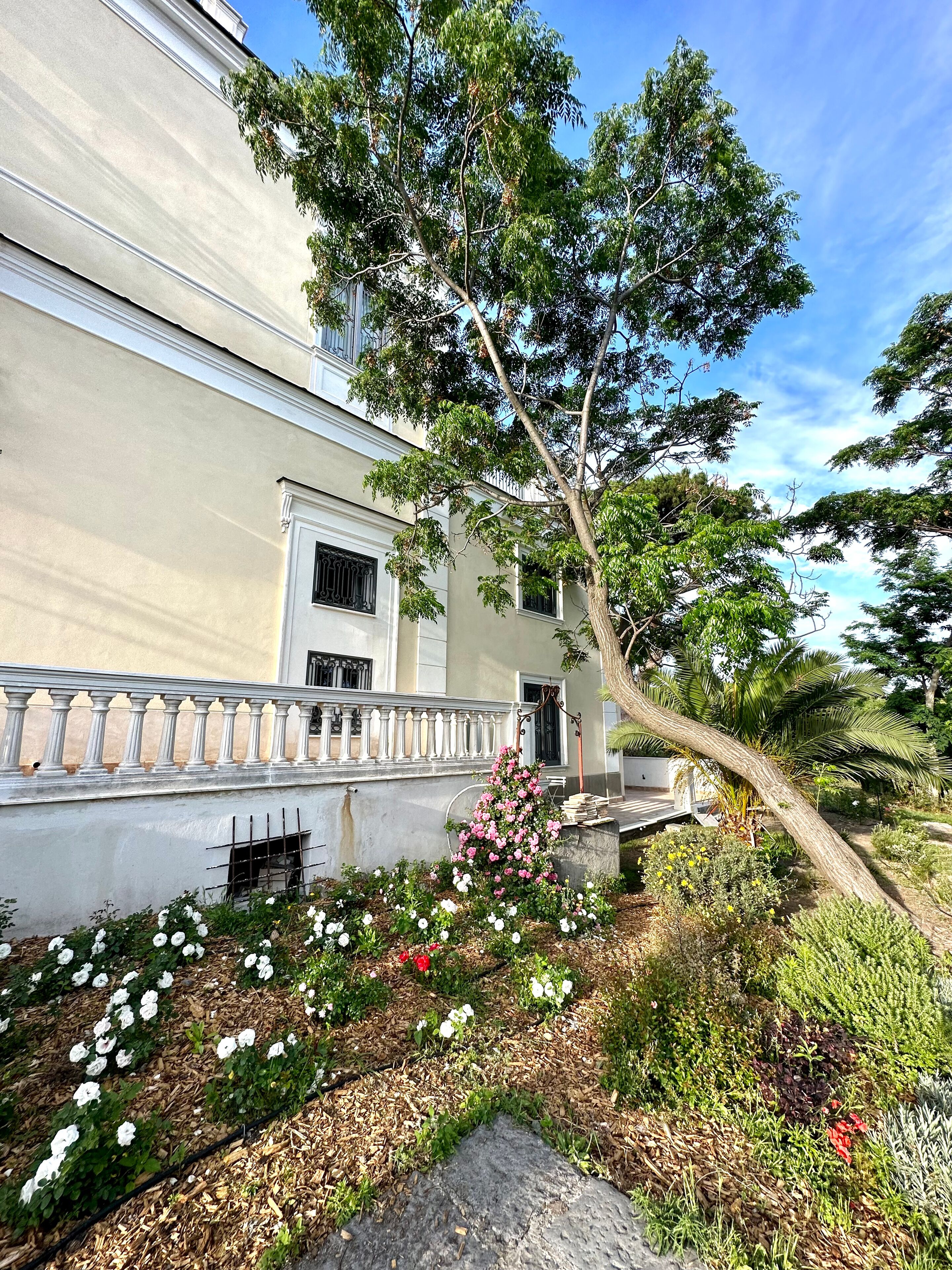 Villa Carafa de Cillis