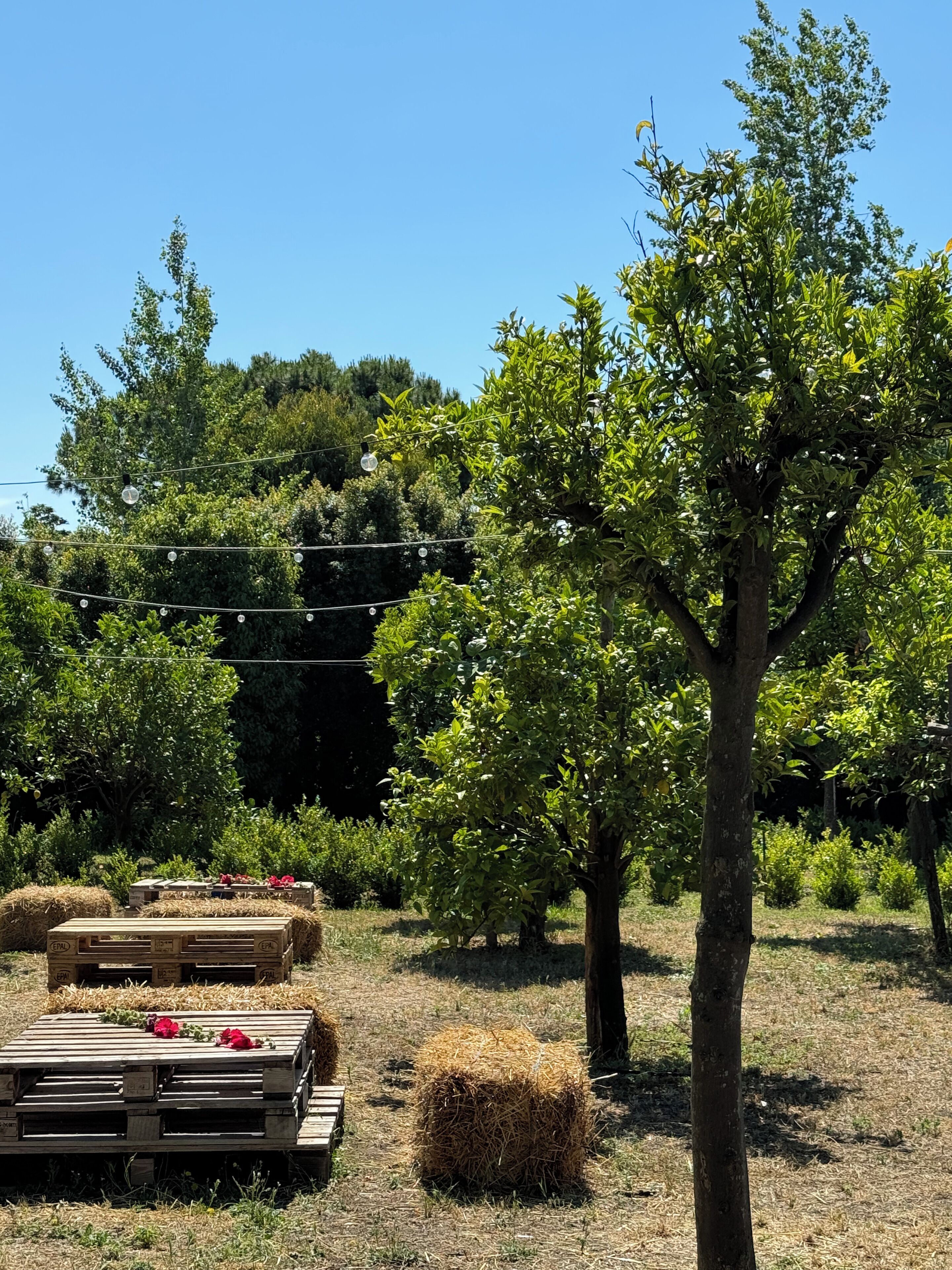 Villa Carafa de Cillis