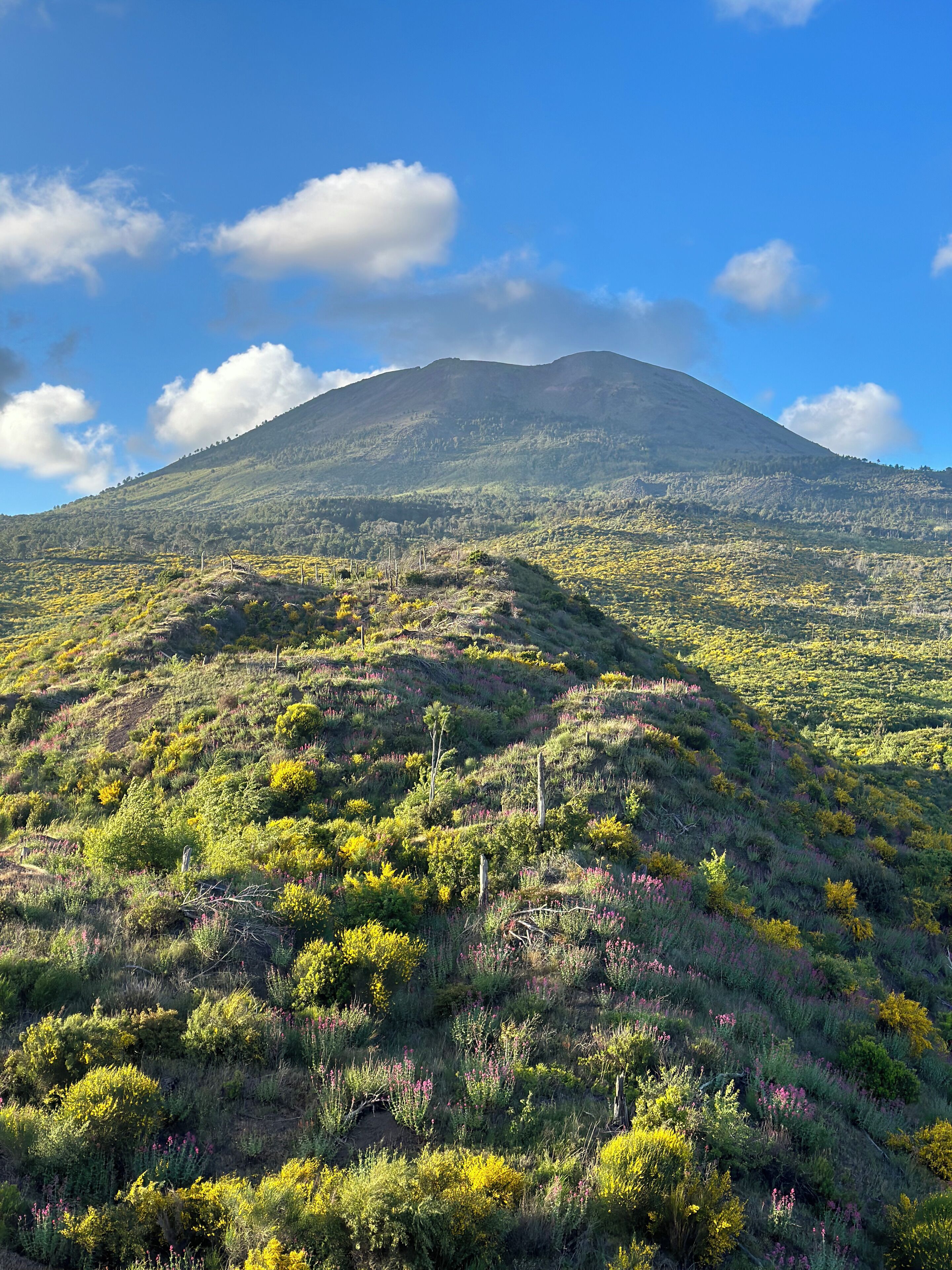 Villa Carafa de Cillis