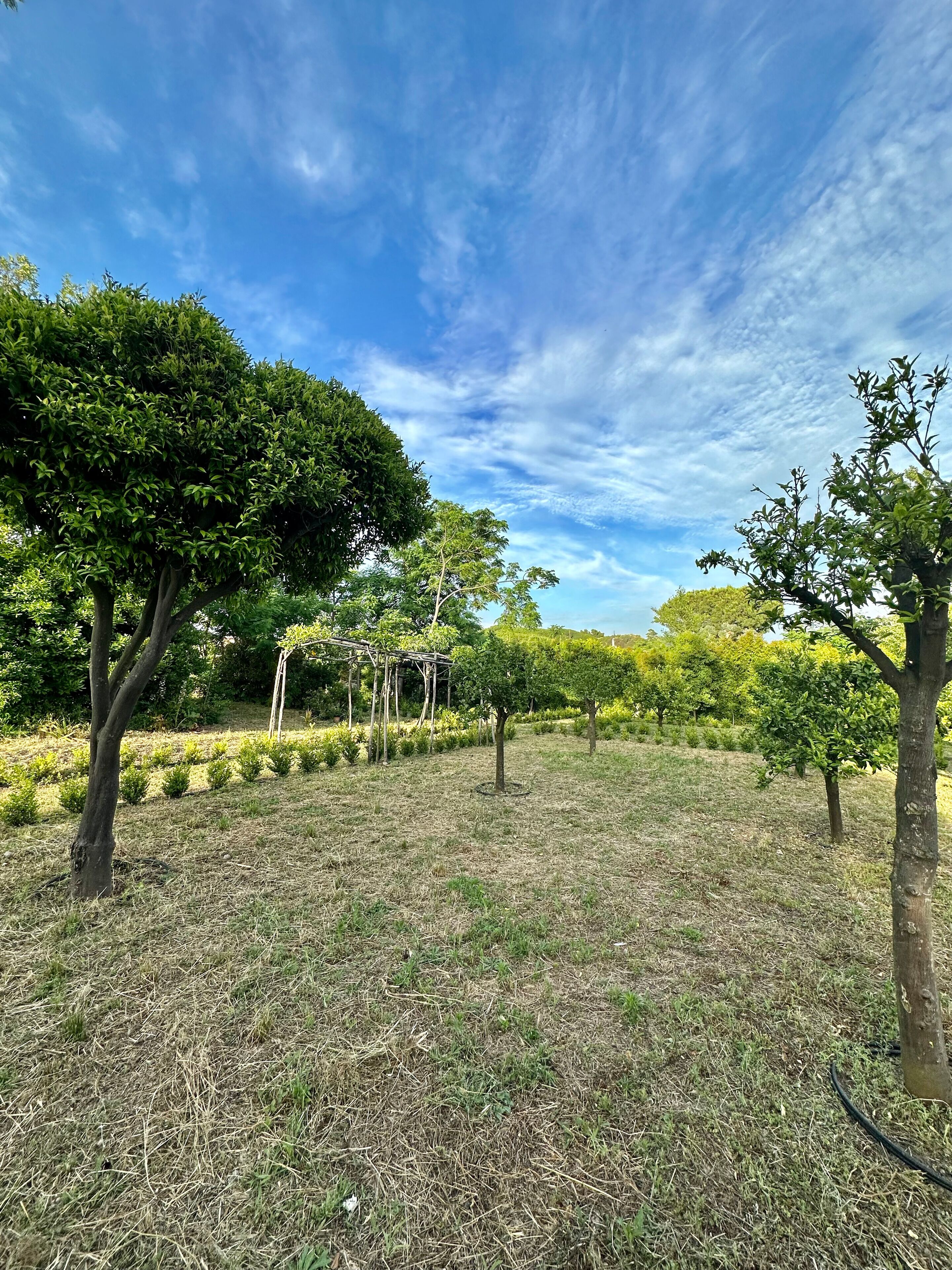 Villa Carafa de Cillis