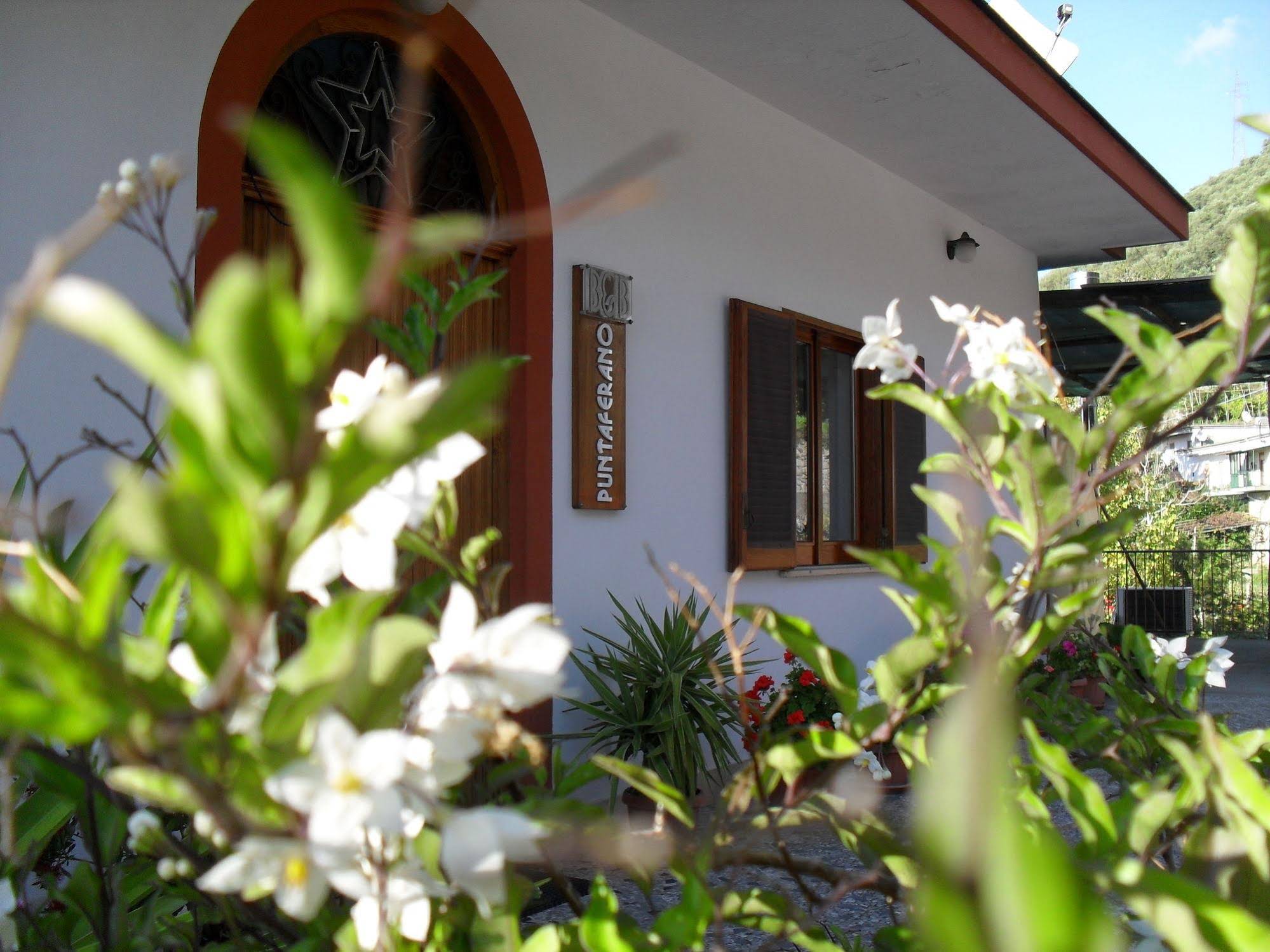 Bed and Breakfast Puntaferano
